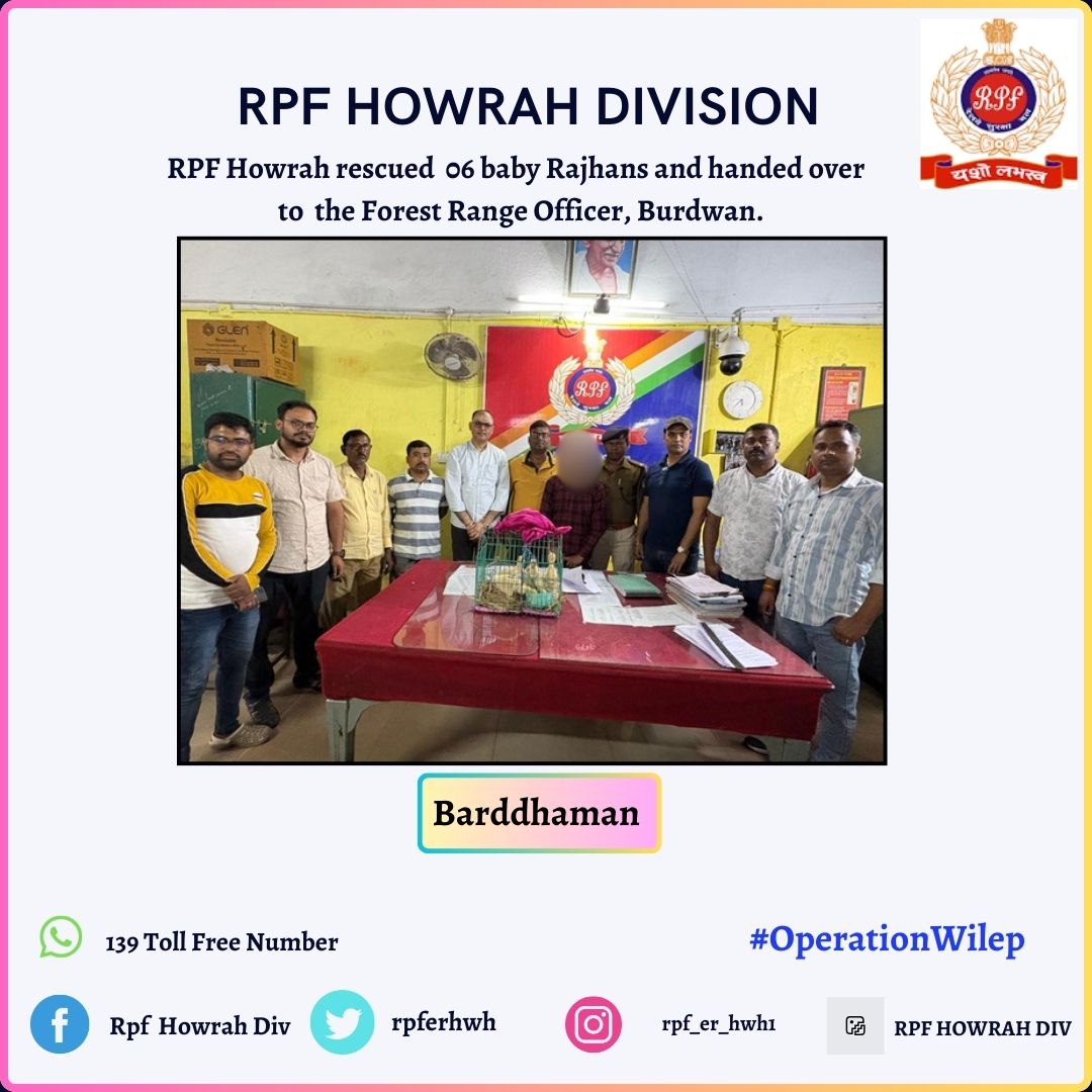 rpferhwh's tweet photo. #Operationwilep
RPF Howrah resued 06 baby Rajhans and handed over to the Forest Range officer, Burdwan. @ErRpf @RPF_INDIA @drmhowrah @rpfpcbwn https://t.co/GhYYgpb6CE