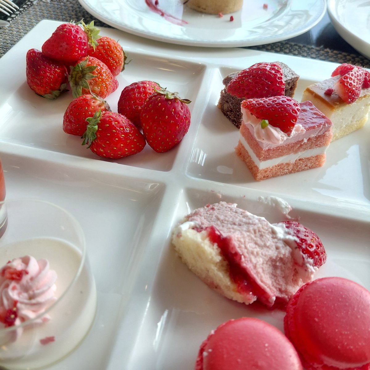 るここ🐾 tweet media