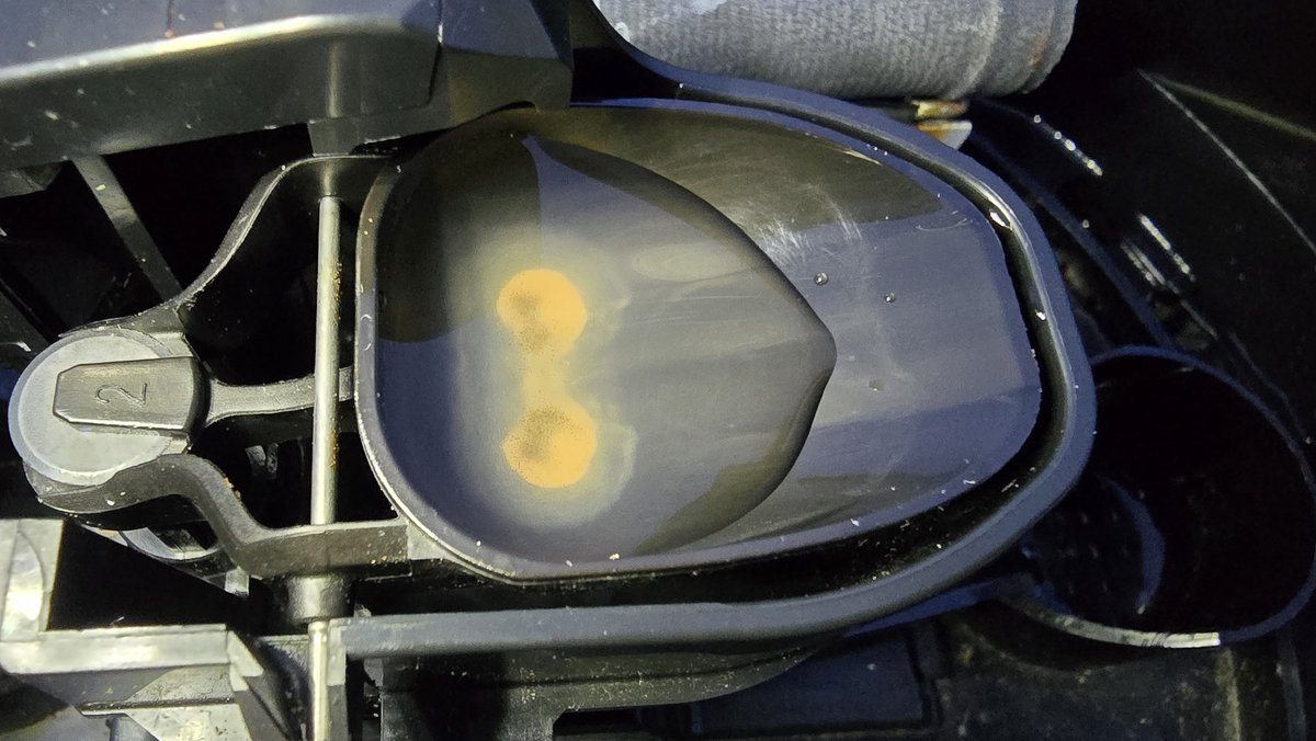 Meteo Roodeschool tweet media