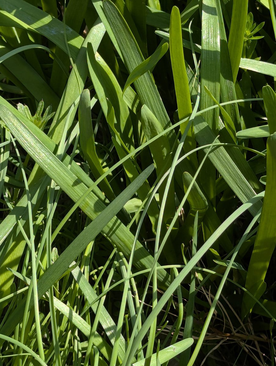 宣智山房 石人 tweet media