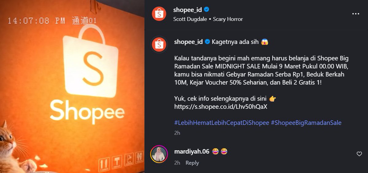 sophia tweet media