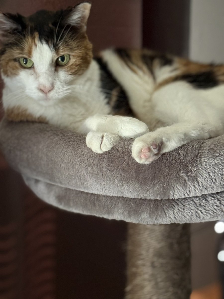 🌻Gretchen Hunter🌻 tweet media