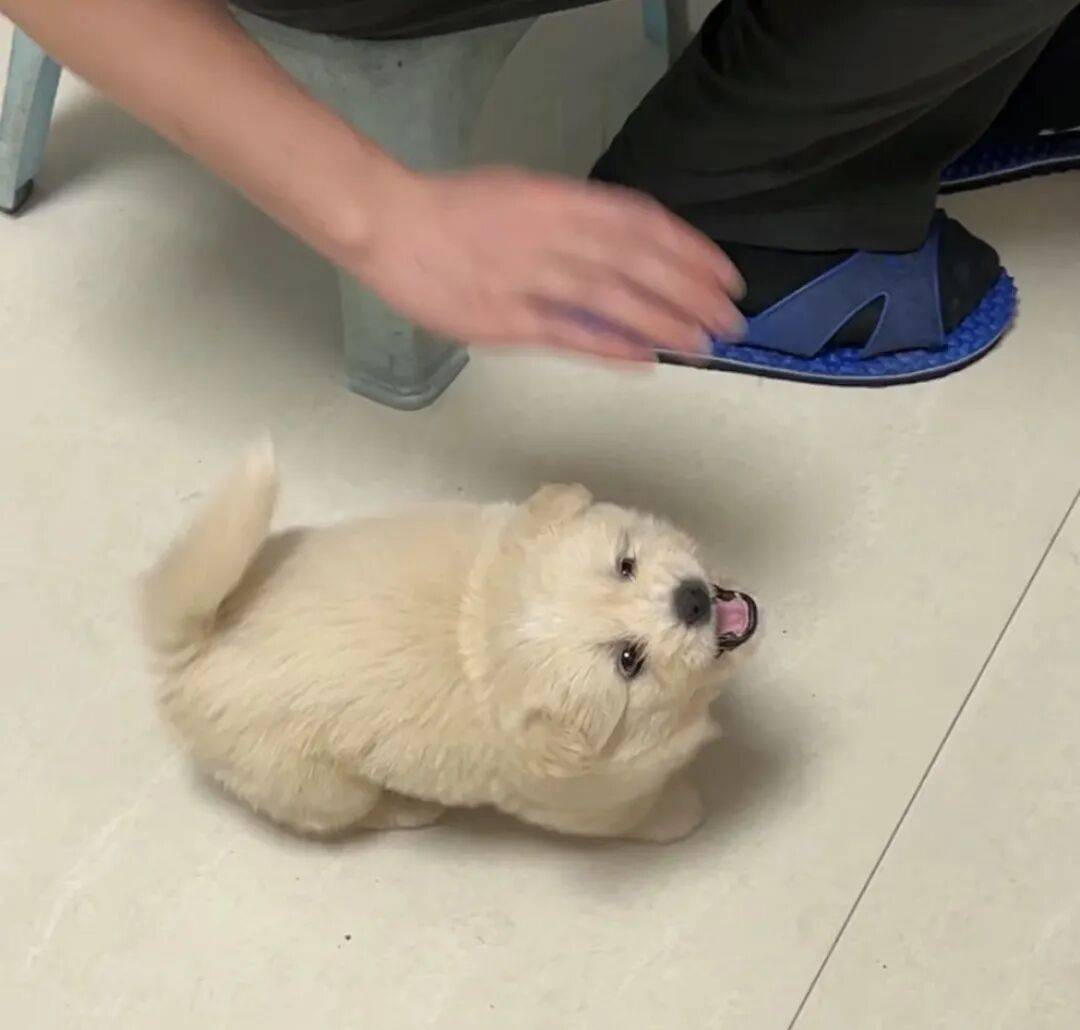 Dj.Mattmode tweet media