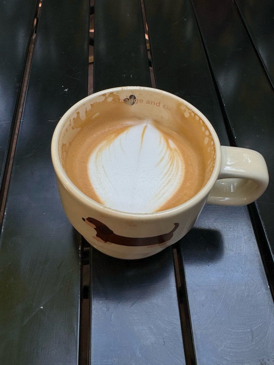 Rsahad Haijvey tweet media