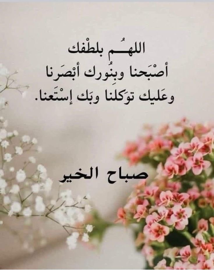 موسى حسان الزبادي tweet media