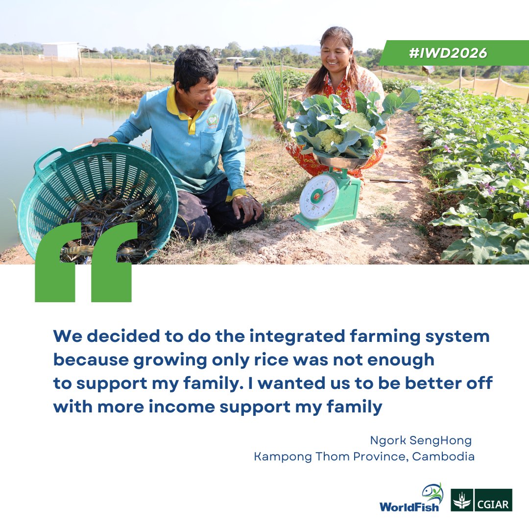 WorldFish tweet media