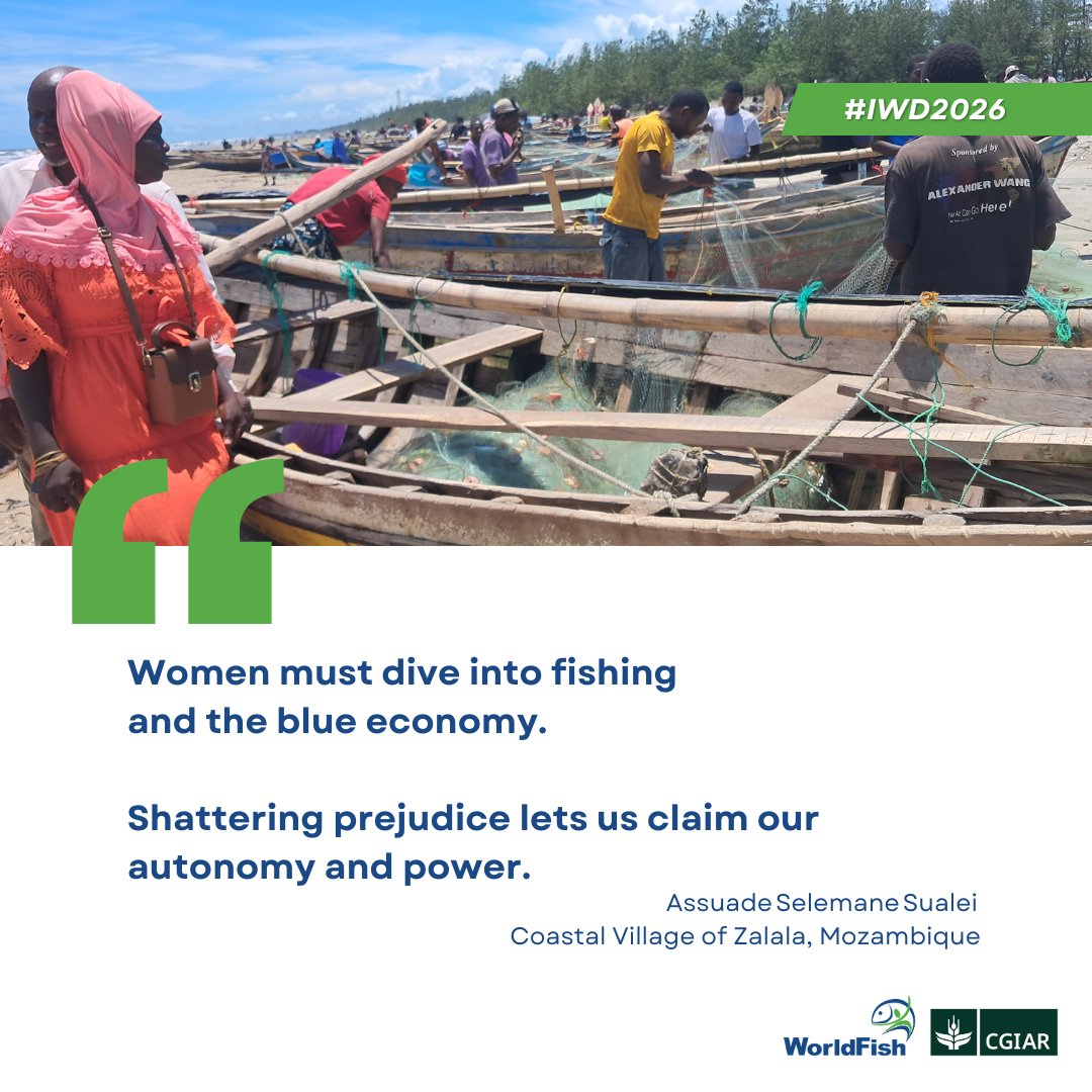 WorldFish tweet media