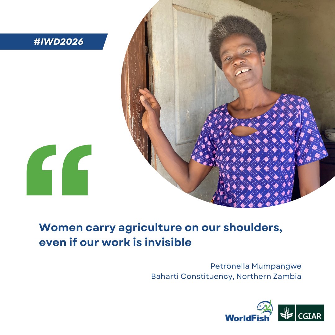 WorldFish tweet media