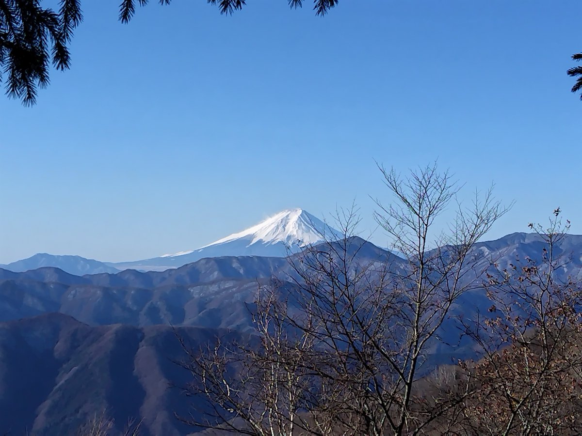 ykata7's tweet photo. 今日の富士山はとてもクリアで綺麗でした。鴨沢ルートで雲取山を歩きました。 https://t.co/CyWSOyuk22