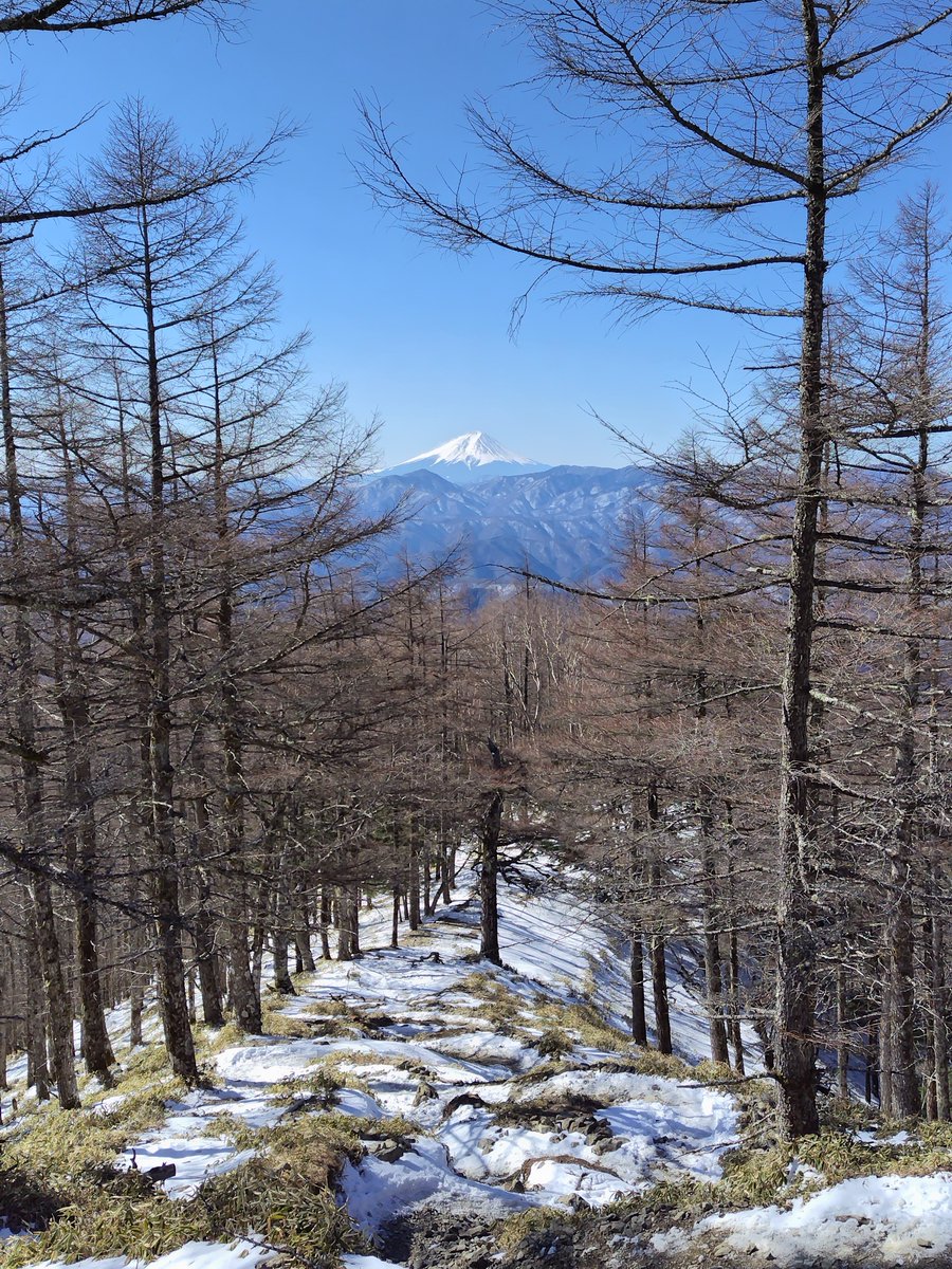ykata7's tweet photo. 今日の富士山はとてもクリアで綺麗でした。鴨沢ルートで雲取山を歩きました。 https://t.co/CyWSOyuk22