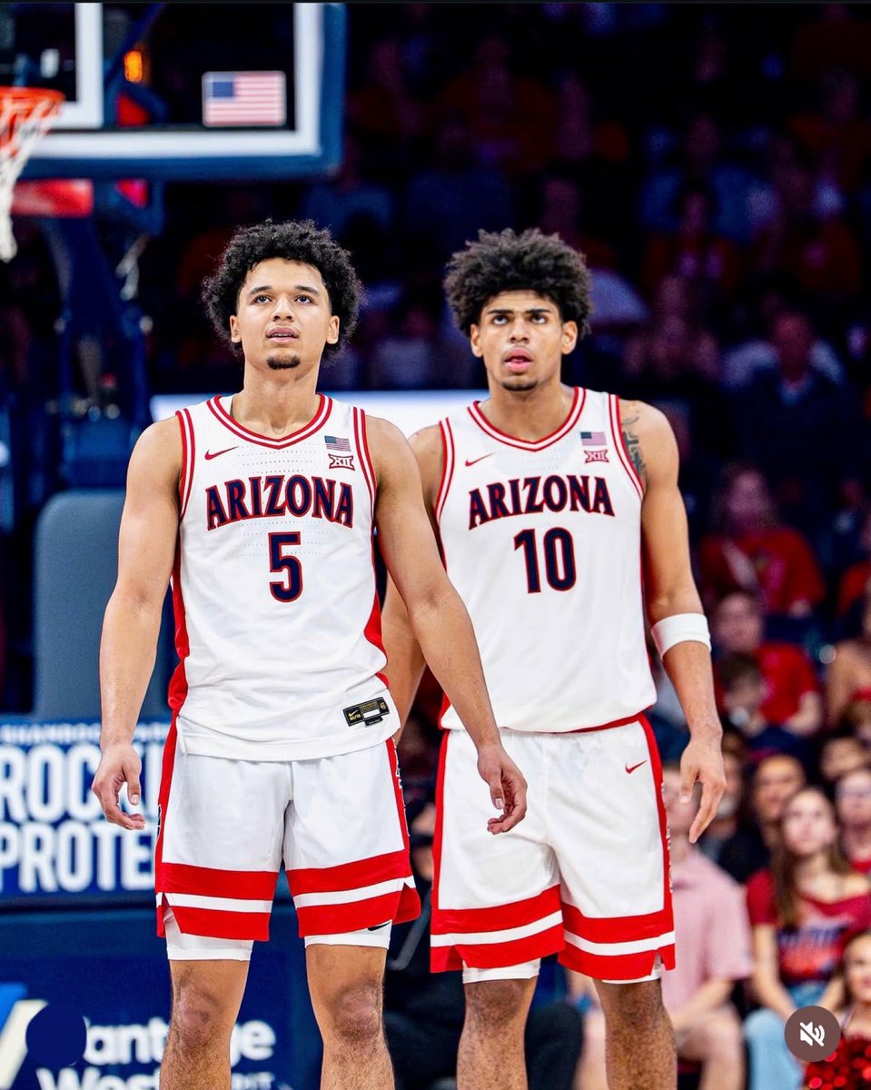 Brayden Burries Muse 🐻⬇️ tweet media