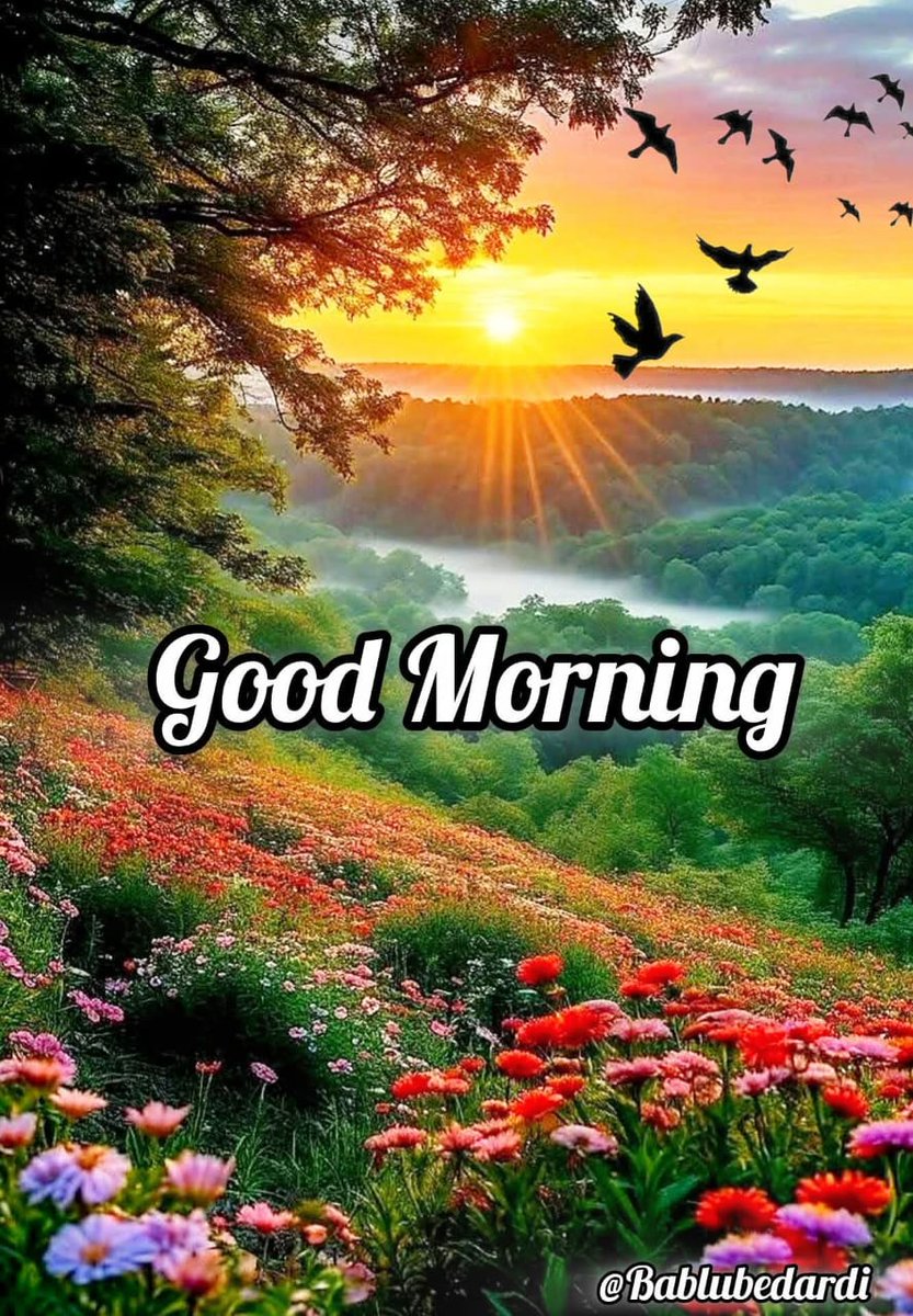 🏆🏆🏆KING RAM SINGH THE GREAT🏆🏆🏆 tweet media