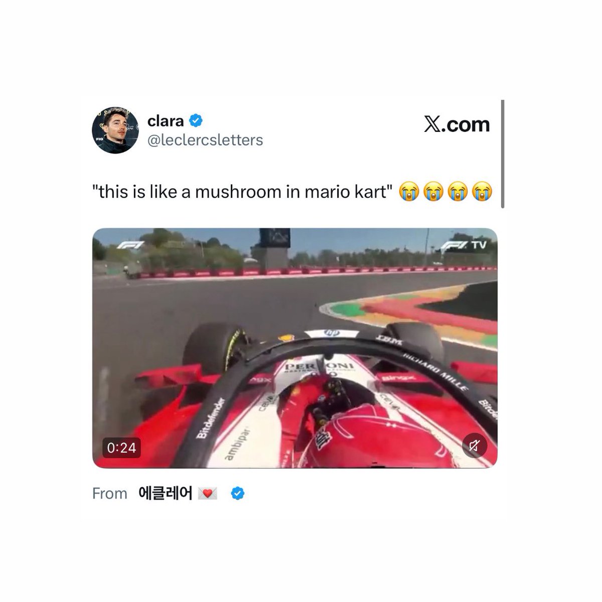 ray ⭑ tweet media