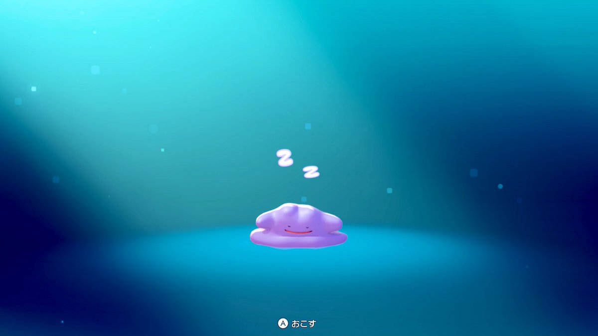 6kuJa's tweet photo. 寝てるところすみません https://t.co/cJSluqQtYu
