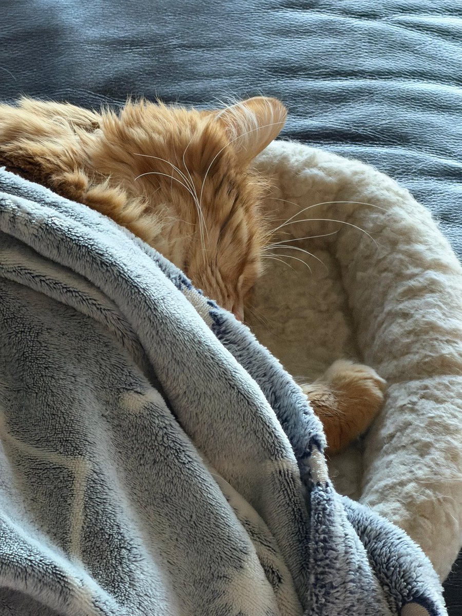 Andrew McCarthy tweet media