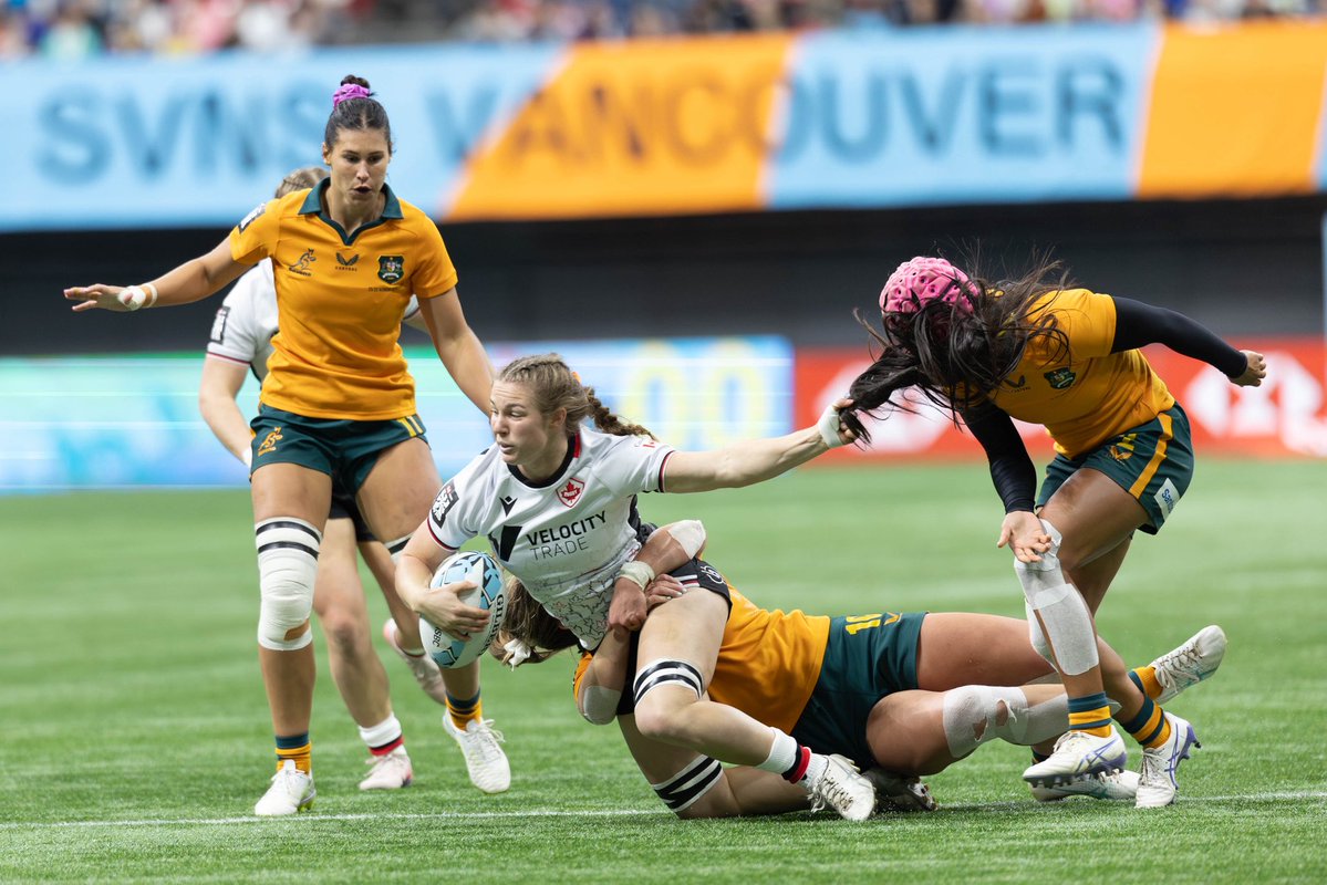 Melissa Levin Photography tweet media