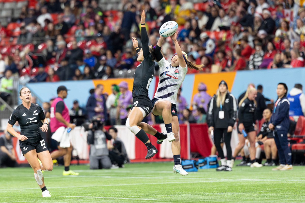 Melissa Levin Photography tweet media