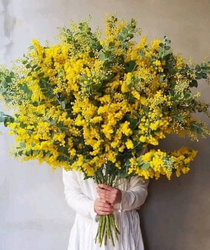 #8marzo   Se vuoi festeggiare una donna, RISPETTALA!