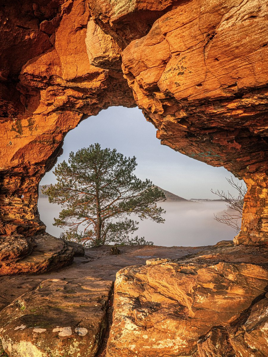 Cédrιc tweet media