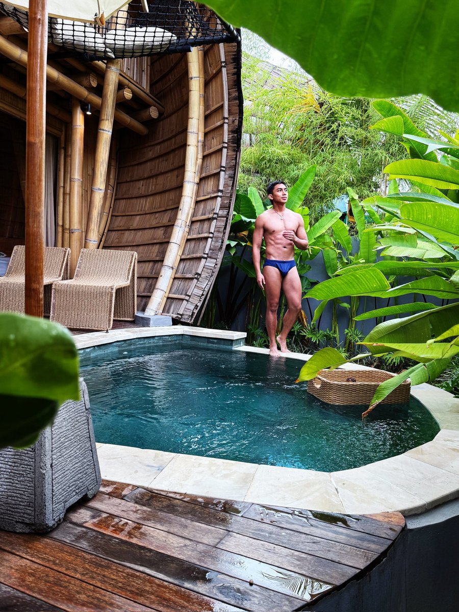 Danisaur tweet media