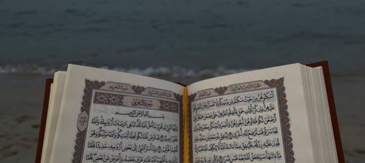 لم أجد سبيلاً لطرد الهم عن نفسي إلا في التوجه إلى الله عز وجل بالعمل للآخرة.

ابن حزم | الأخلاق والسير ٨٨

Kederi kendimden gidermek için, âhiret için amel işleyerek Allah azze ve celle’ye yönelmekten başka bir yol bulamadım.

İbn Hazm | el-Ahlâk ve’s-Siyer 88