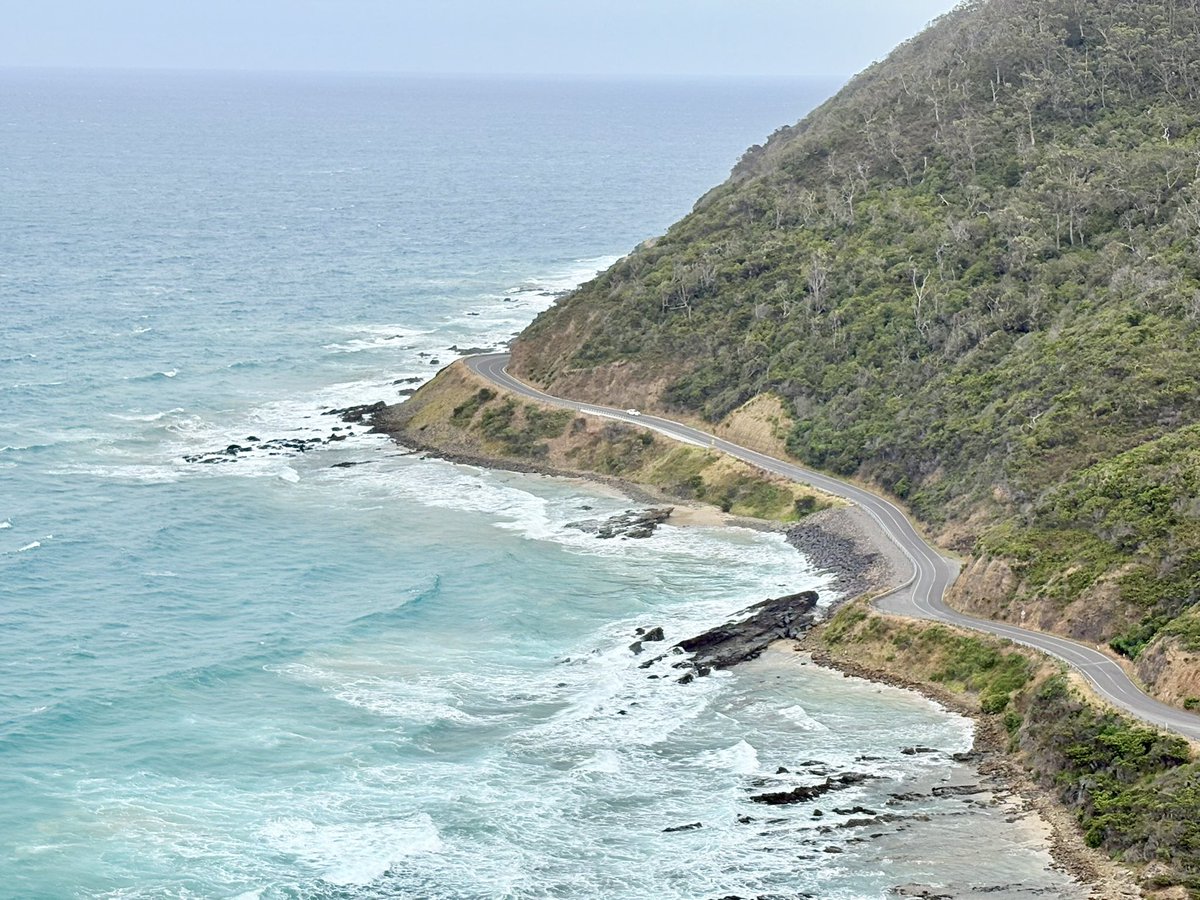 Srikanth Miryala tweet media