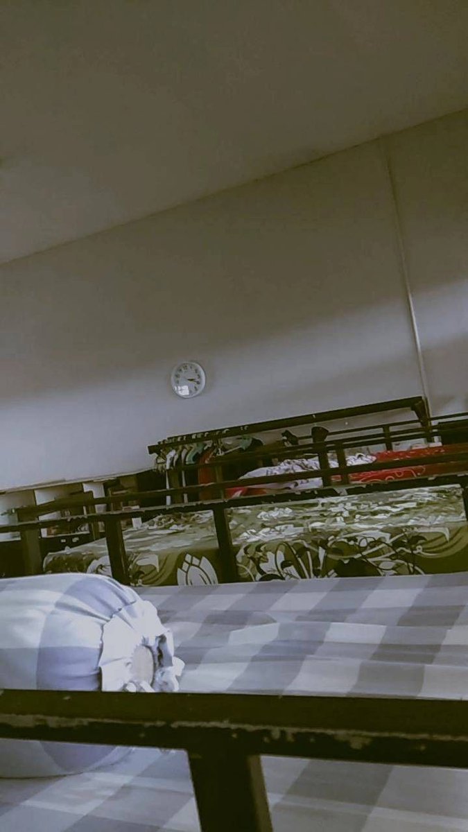 エサの遊び場 tweet media