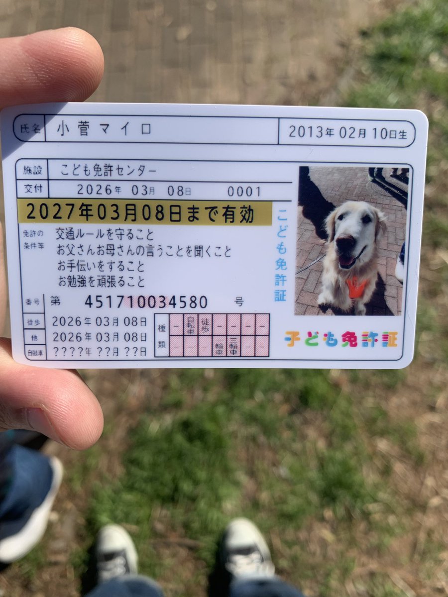 UK1682's tweet photo. 舎人のドッグフェス行って免許証作ってきた https://t.co/8b98nNrvMl