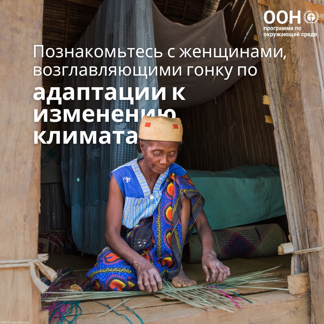 ЮНЕП - Программа ООН по окружающей среде tweet media