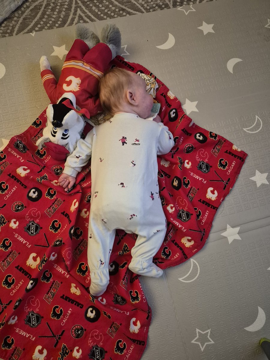 LloyKevin's tweet photo. @NHLFlames what a huge win. Parker celebrating the win with a nap. https://t.co/uV1OgX6SdJ