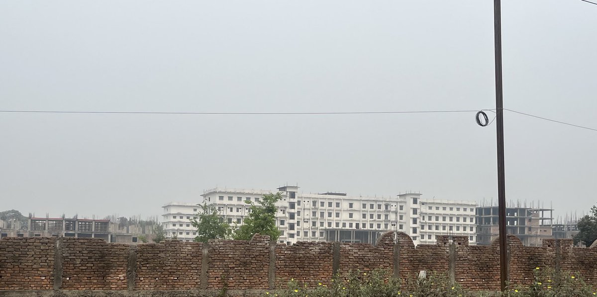 laymans_profile tweet media