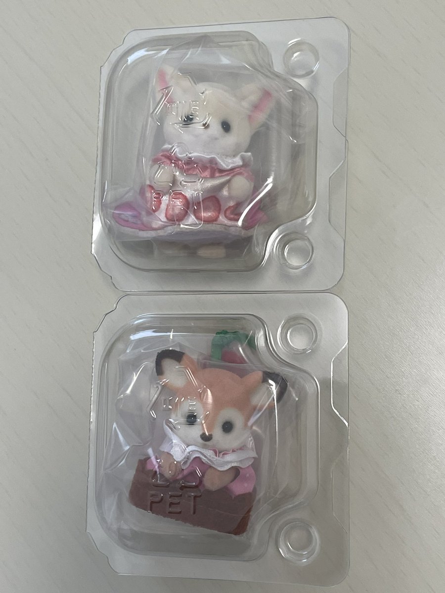 ごまぽんず tweet media