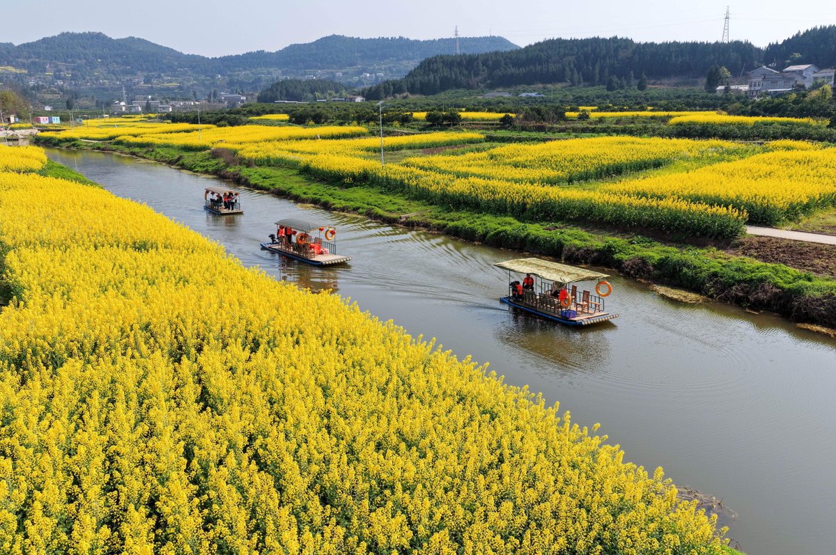 FlyOverChina's tweet image. You can find the most vivid colors in spring. Which one is your favorite? Let these colorful pictures take you across China to enjoy the spring bloom. 🌺🌸
📷 Liao Shengchun, Liu Yonghong, Qin Tingfu
#springbloom #FlyOverChina #ChinaTravel
