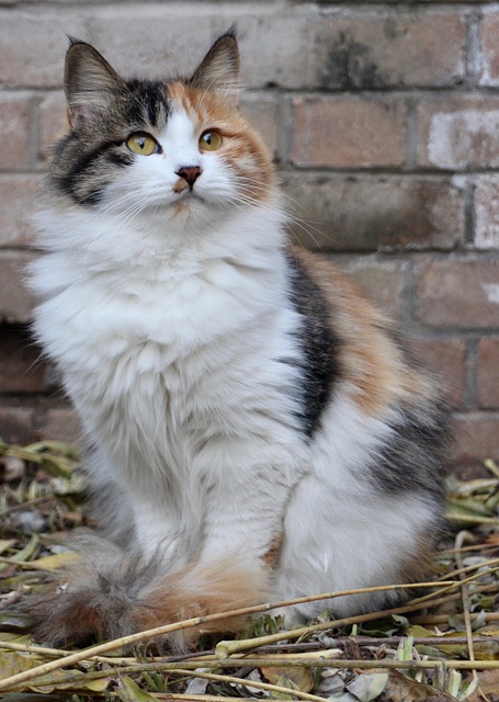 Jared Barragan tweet media