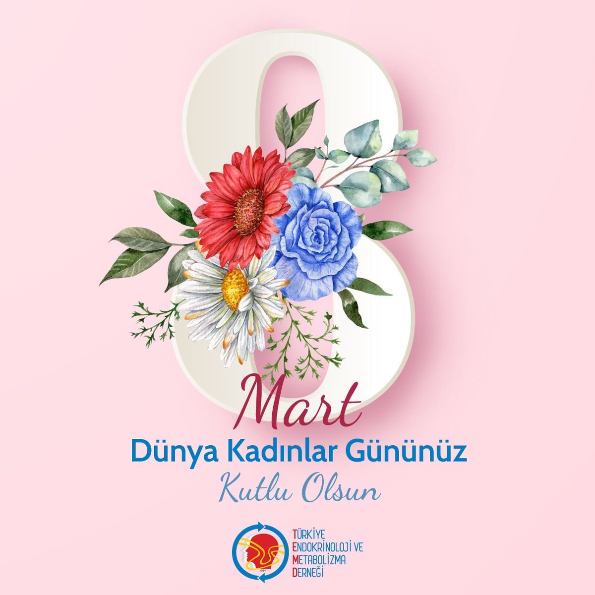 Türkiye Endokrinoloji ve Metabolizma Derneği tweet media