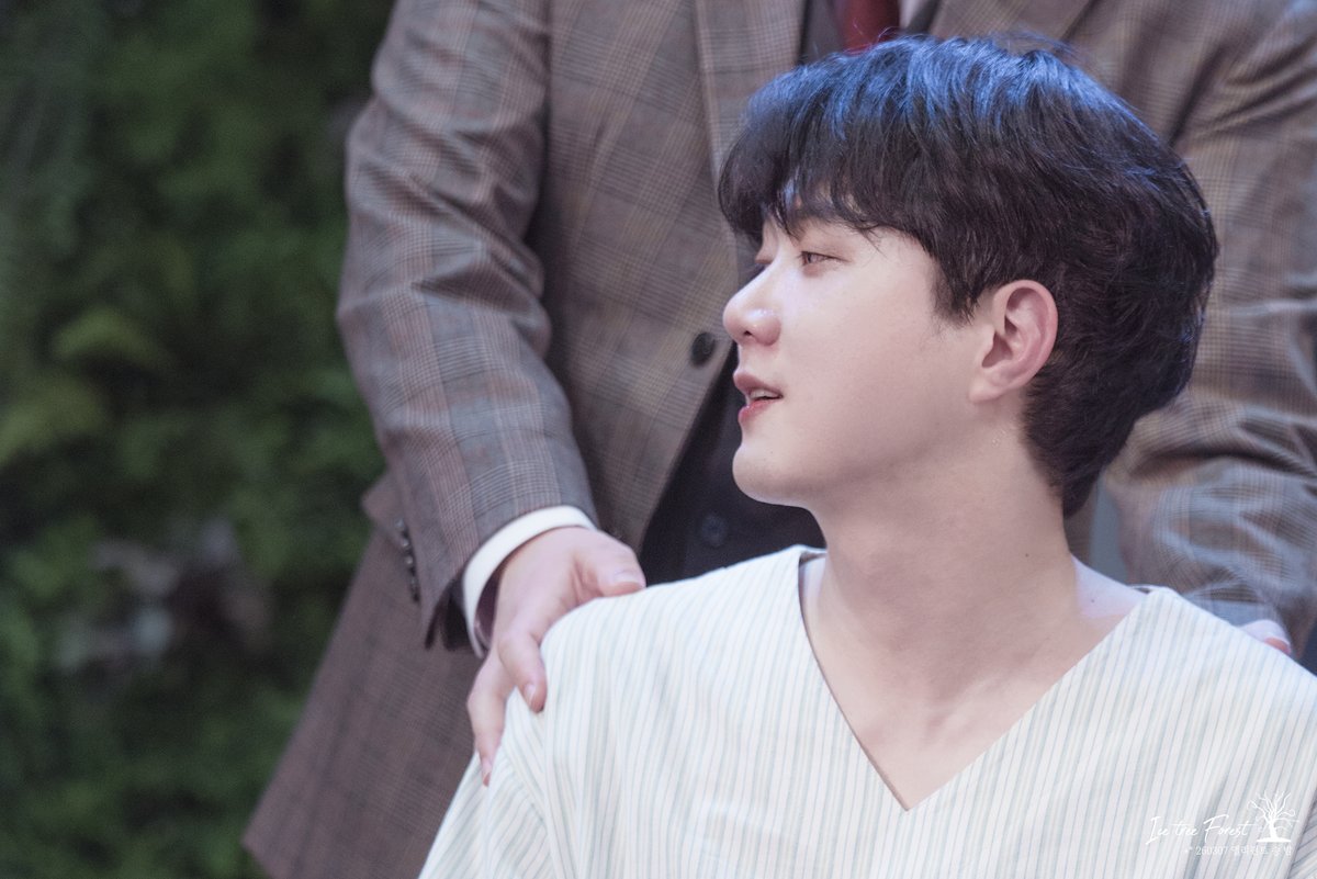 🌲❄Ice Tree Forest❄🌲 tweet media