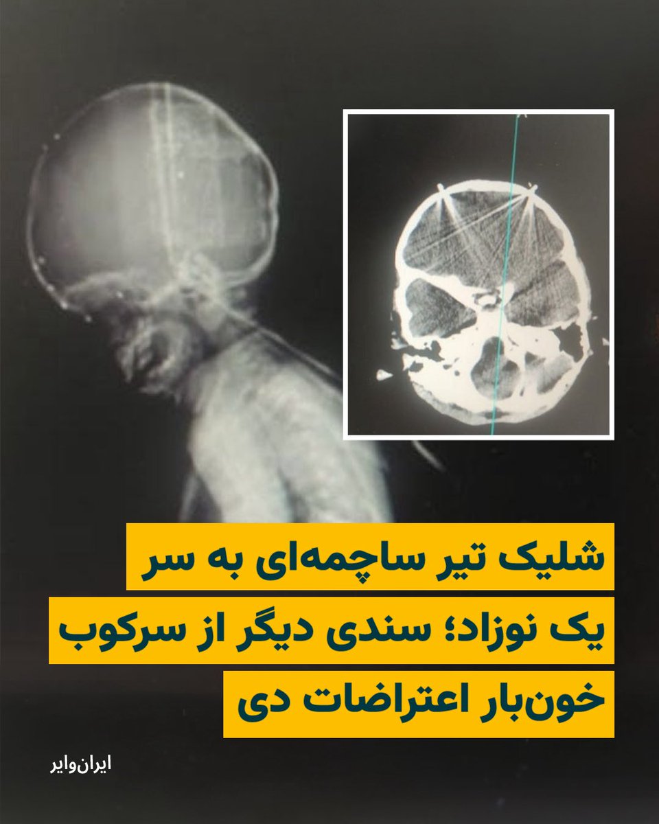 ایران وایر tweet media