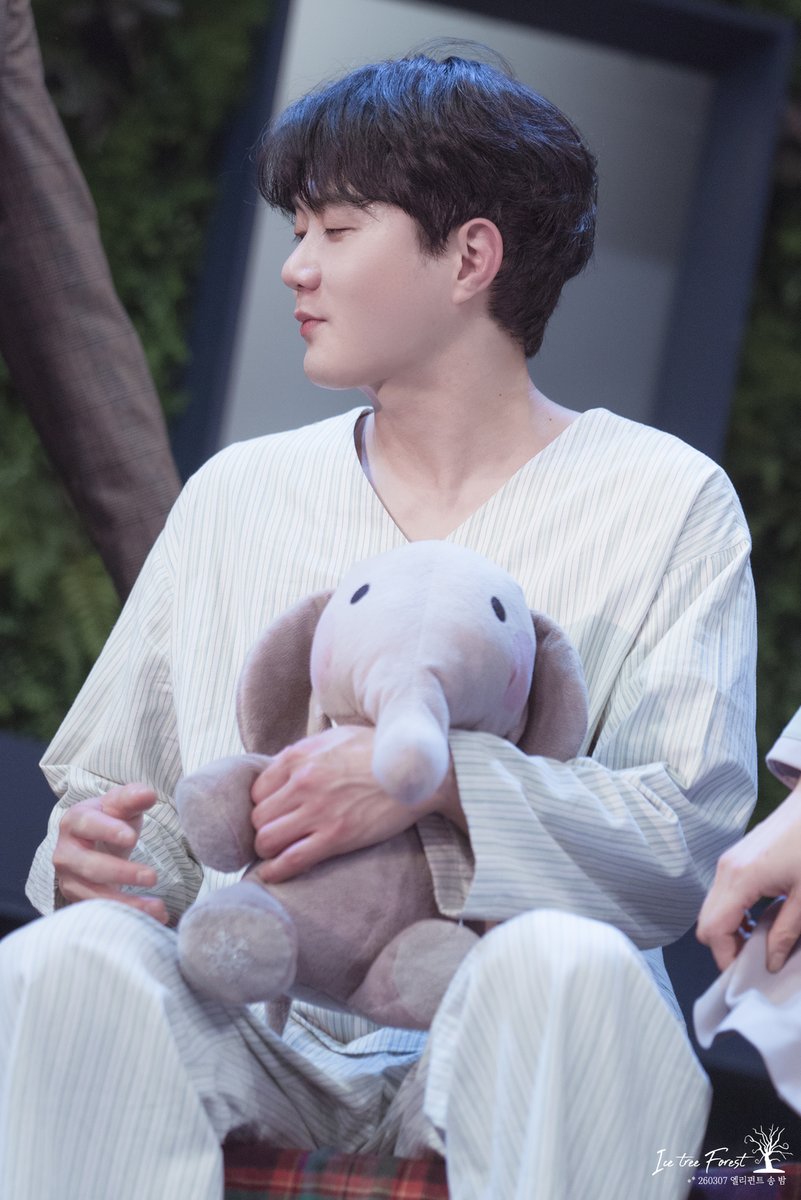 🌲❄Ice Tree Forest❄🌲 tweet media