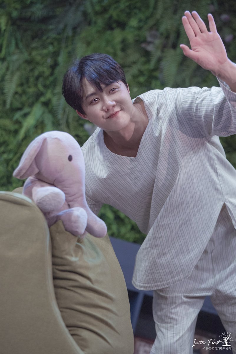 🌲❄Ice Tree Forest❄🌲 tweet media