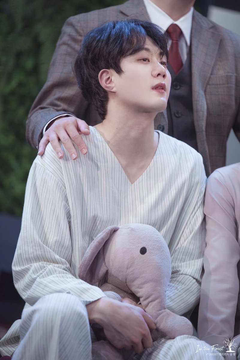 🌲❄Ice Tree Forest❄🌲 tweet media