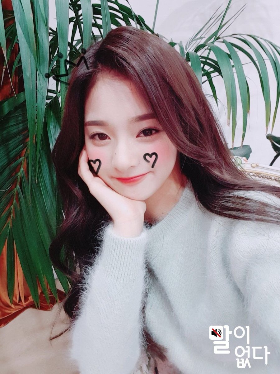 나꼰대 tweet media