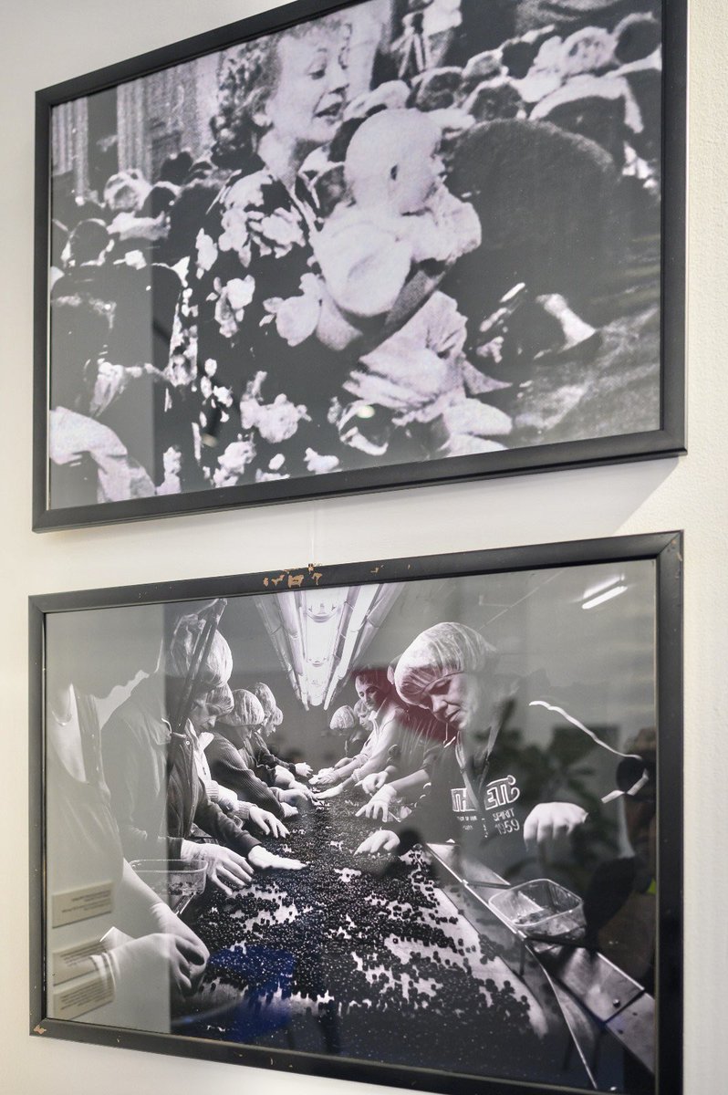 Luigi Soreca tweet media