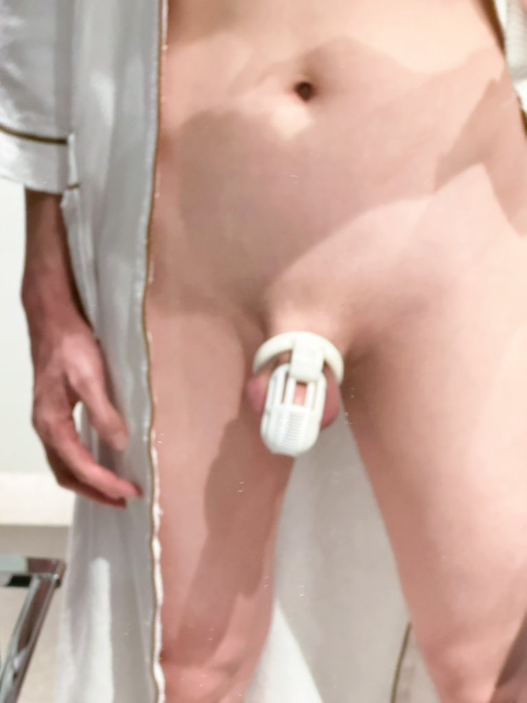 Flamingo tweet media