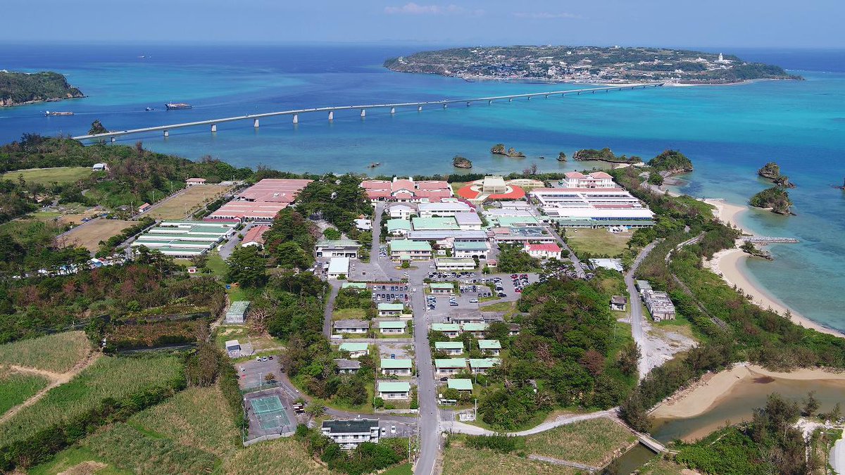 うじきつよし JICK tweet media