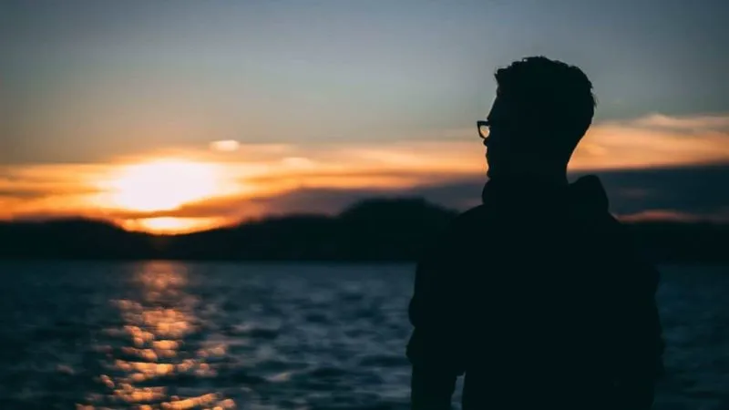 SharonBB. grvt🍏 🐬🐕🐵 tweet media