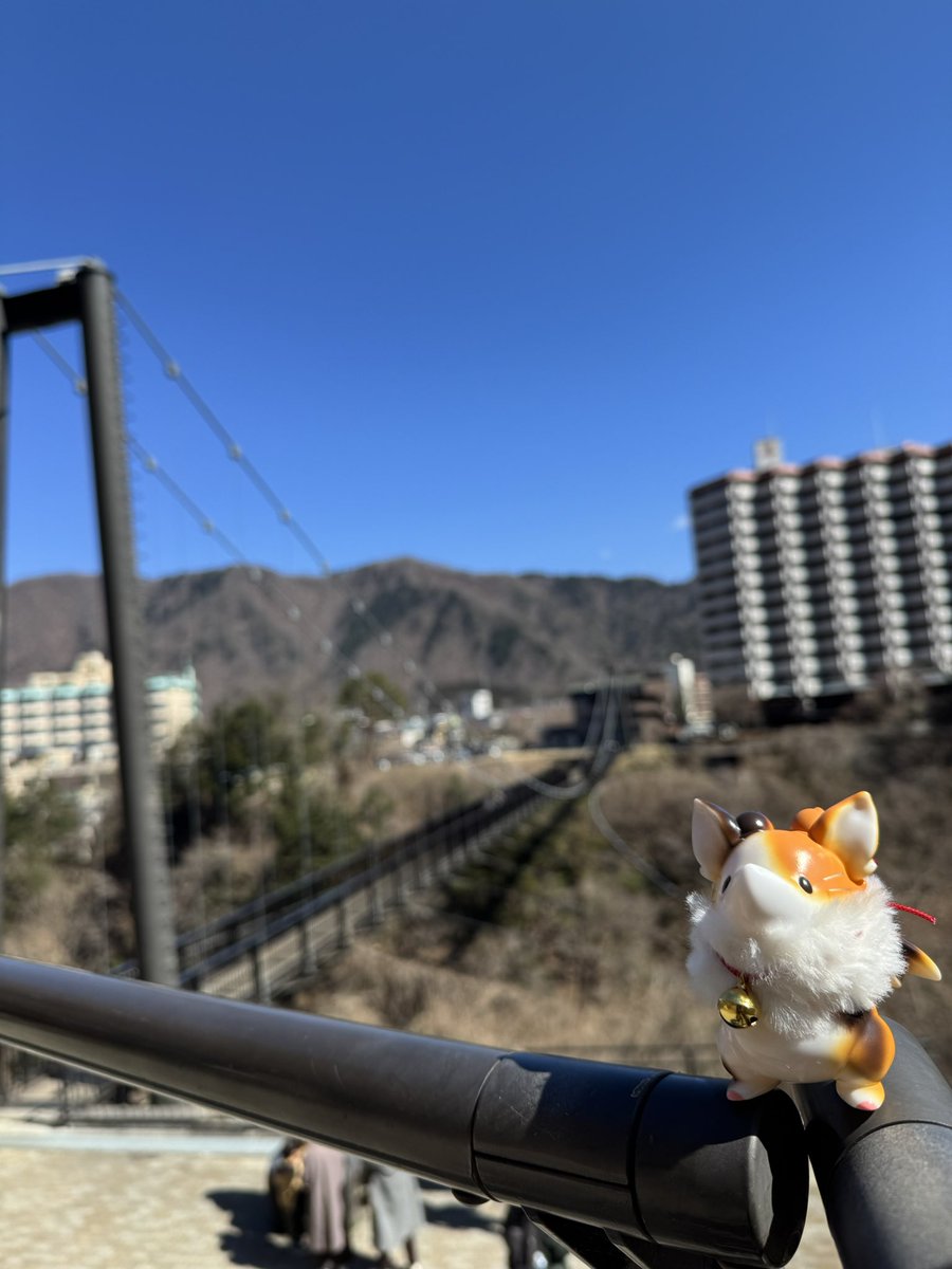 きゅうび～@ソフ活 tweet media