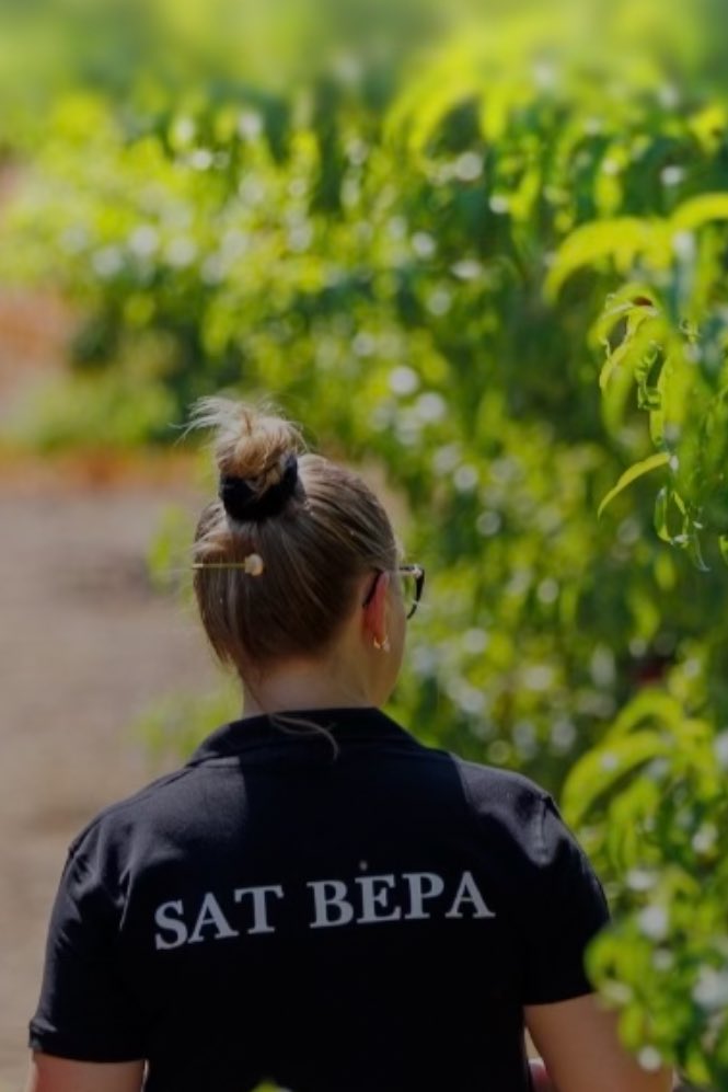 sat_bepa's tweet image. Avui és un gran dia, peró cal que ho sigui a diari!

#bondia #afrodita #olimpfruit #disfruita #8març #diainternacionaldeladona