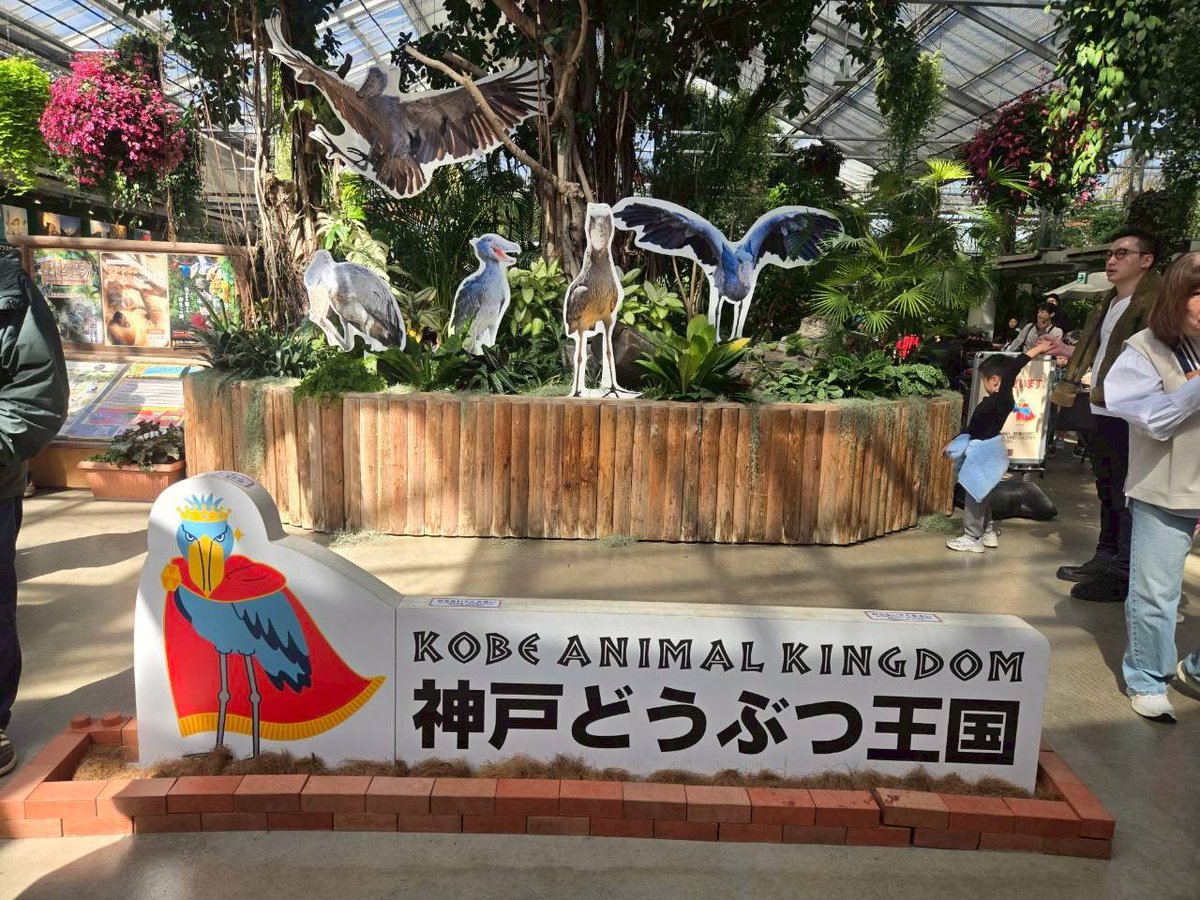 CLOVER49855046's tweet photo. 神戸どうぶつ王国👑

今まで行った動物園の中でダントツ☝️ https://t.co/iCk5t2ail4