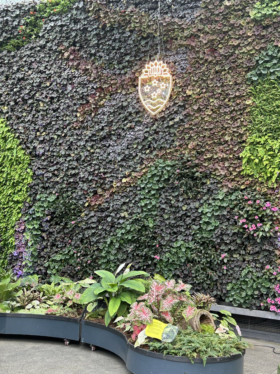 Libby Sander tweet media