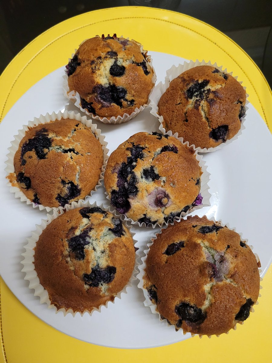 hinna_09's tweet photo. By coincidence, I also made Blueberry Muffins the other day for a potluck!!

Yours turned out so well too Scarle ✨️❤️ #Yonadump https://t.co/2JccxV45I0